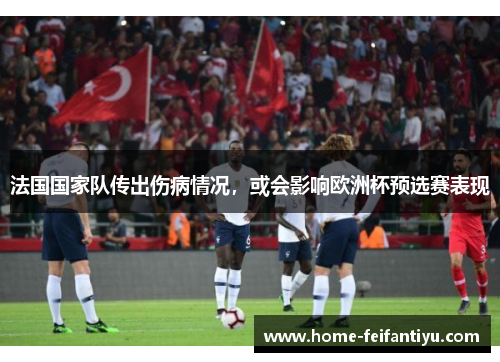 法国国家队传出伤病情况，或会影响欧洲杯预选赛表现