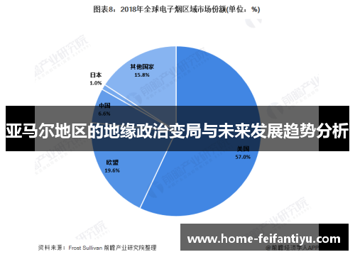 亚马尔地区的地缘政治变局与未来发展趋势分析